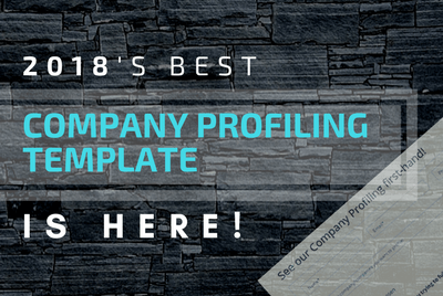 This is the One Template that Will Solve All Your Company Profiling Worries in 2018