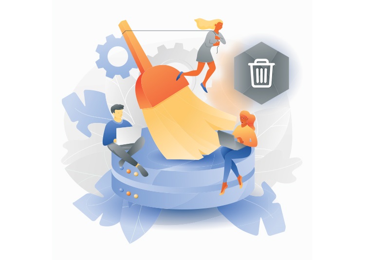The Impact of Bad Data Hygiene on Business Revenue The Impact of Bad Data Hygiene on Business Revenue