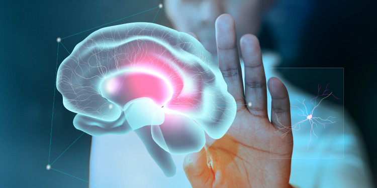 Neurologist Marketing: Using Neurology Leads Profile and Contact Database Neurologist Marketing: Using Neurology Leads Profile and Contact Database