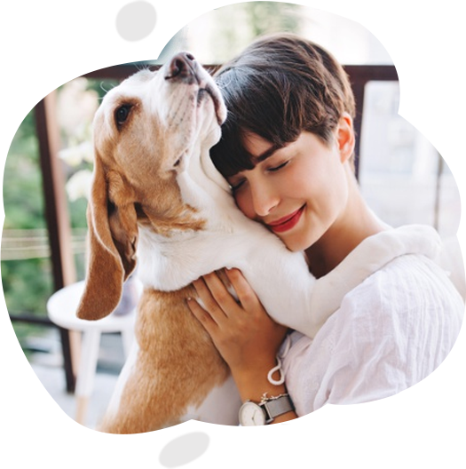 Pet Owners Data Banner