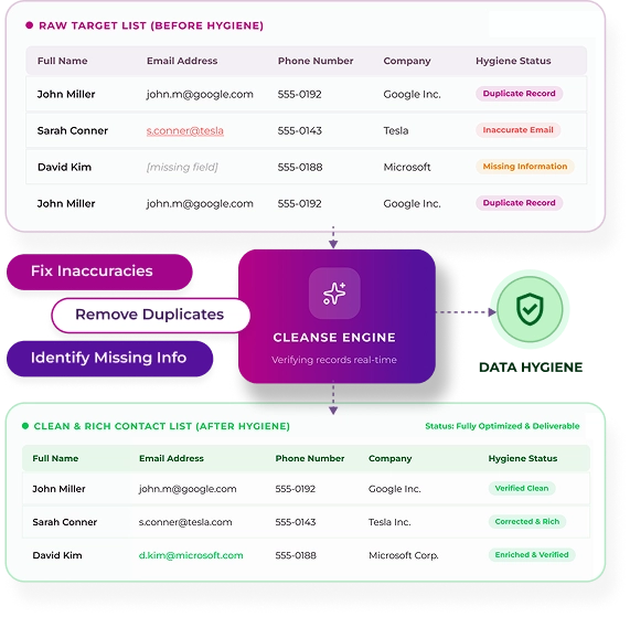 Data cleansing process