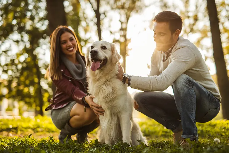 How LakeB2B Empowered a Leading Insurance Provider to Penetrate Pet Insurance Market